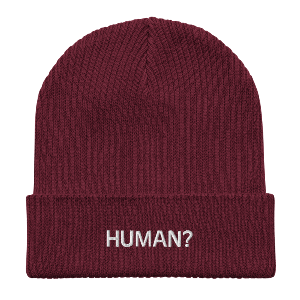 FlatNine Human Beanie